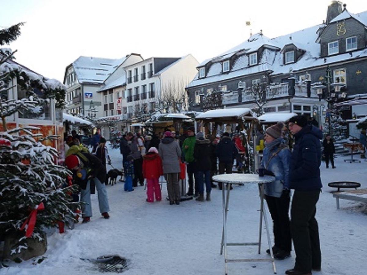 Hilleseeblick Apartment Winterberg
